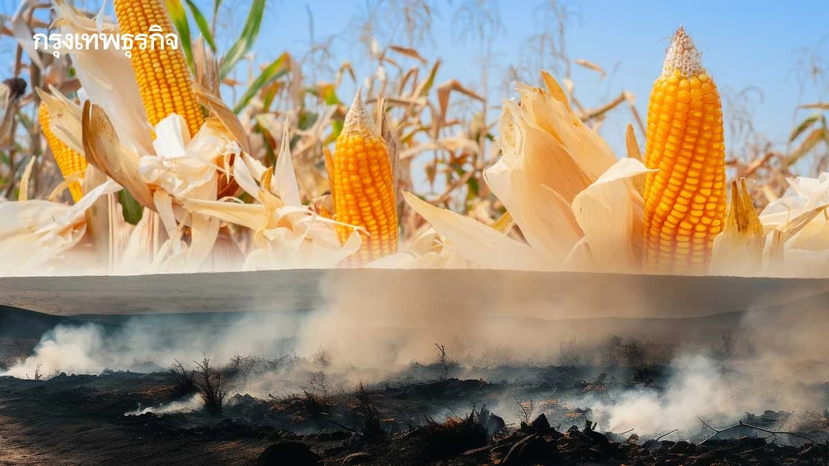 ครม.อนุมัติบอร์ดอาหารสัตว์ใช้กฎใหม่4ฉบับ  แจ้งแหล่งนำเข้า-ลดเผาป้องฝุ่นจิ๋วข้ามแดน