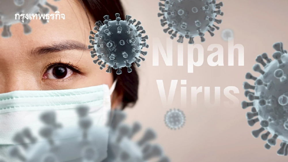 ไทยเสี่ยงแค่ไหน? การแพร่ระบาดของไวรัสนิปาห์ (Nipah virus)