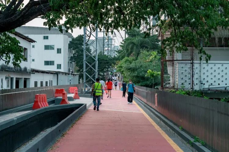กทม.ยกเครื่องใหม่ ‘สะพานเขียว’ เส้นทางเชื่อม 2 สวน เดินสบาย ปั่นสนุก