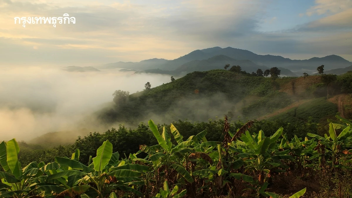 ไทยตอนบนอุ่นขึ้น 1-2°C เหนือ-อีสานยังหนาว เตือนฝุ่นพุ่ง กลุ่มเสี่ยงระวังสุขภาพ
