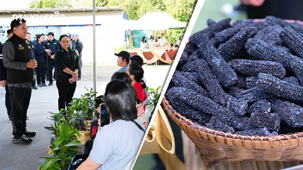 เกษตร Kick-off ลดเผาในภาคเหนือหนุนทำเกษตรคาร์บอนต่ำ  สร้างมูลค่าเพิ่ม