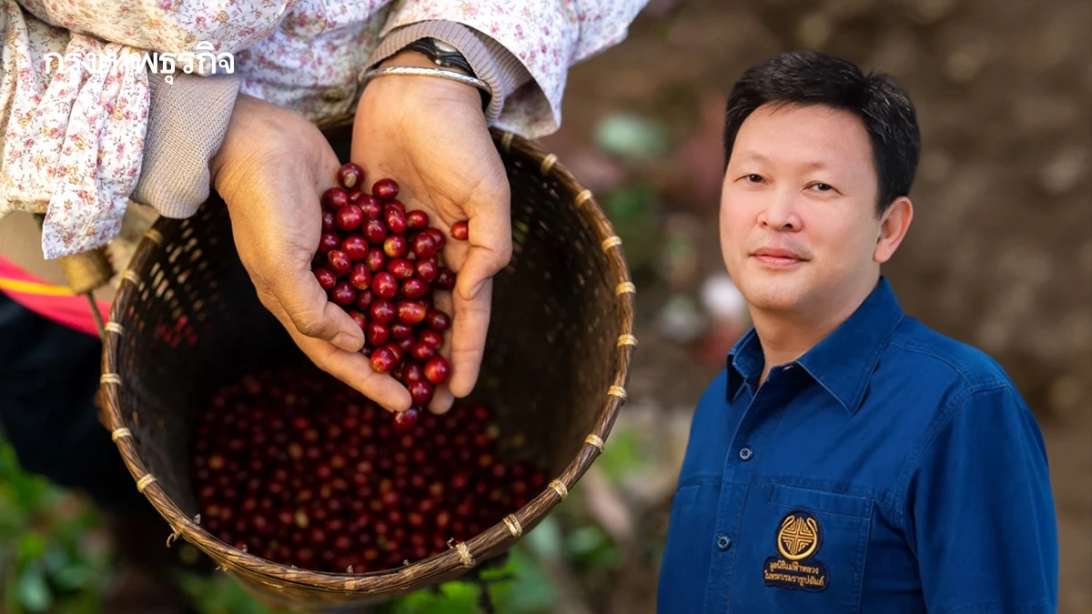 ‘แม่ฟ้าหลวง’ วิจัย 40 สายพันธุ์กาแฟสู้โลกร้อน  ต่อยอดพืชเศรษฐกิจ สร้างรายได้ชุมชนยั่งยืน
