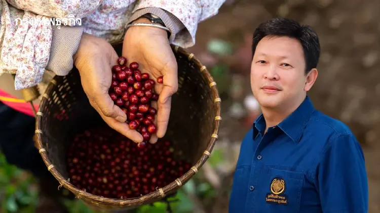 ‘แม่ฟ้าหลวง’ วิจัย 40 สายพันธุ์กาแฟสู้โลกร้อน ต่อยอดพืชเศรษฐกิจ สร้างรายได้ชุมชนยั่งยืน
