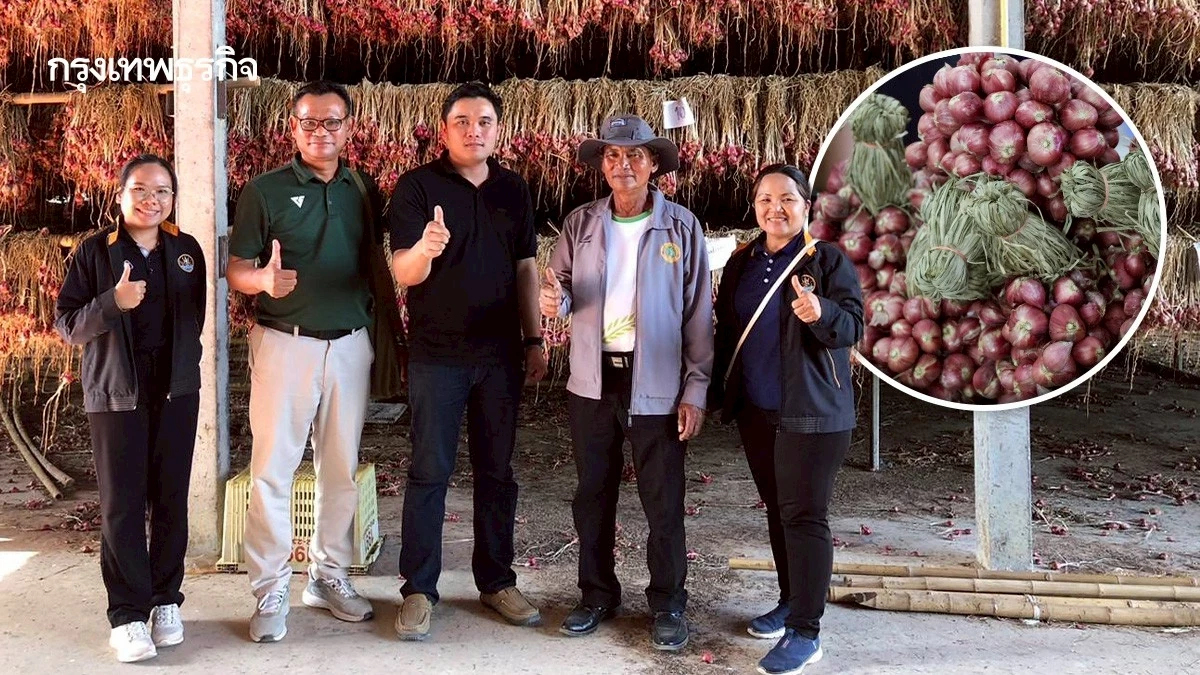 หอมแดงกระจุกตัว ราคาตกเหลือ กก.ละ 7 บาท กรมส่งเสริมสหกรณ์ เร่งดึงออกนอกพื้นที่