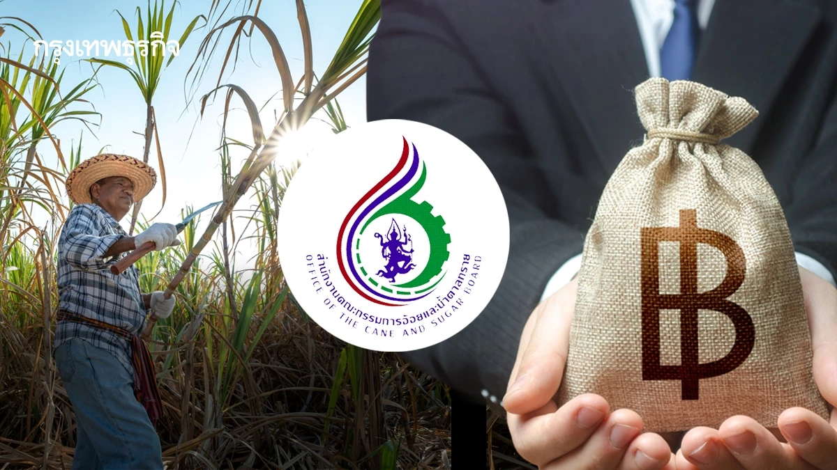 สงครามชายแดนซ้ำเติมไร่อ้อย 'สระแก้ว-สุรินทร์' สอน.ชงงบเยียวยา 13,000 บ./ไร่