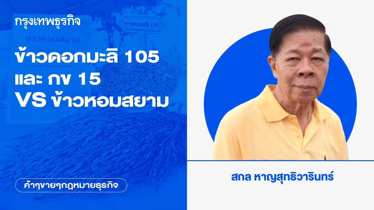 ข้าวดอกมะลิ 105 และ กข 15 VS ข้าวหอมสยาม