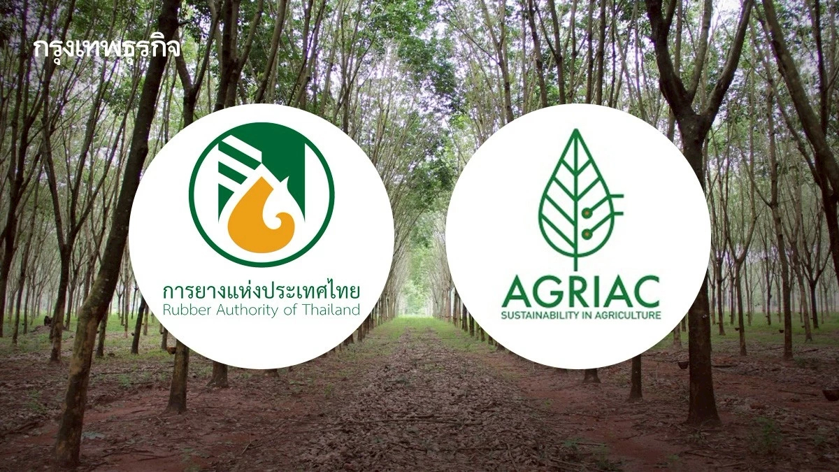 กยท.ผนึก บริษัท อกรีแอค โกลบอล พัฒนาสวนยางยั่งยืน1 ล้านไร่