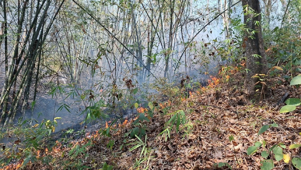 วิกฤต! ไฟป่าไทรโยคลาม 'เหมืองเต่าดำ' ส่งชุดเสือไฟ เร่งสกัดด่วน