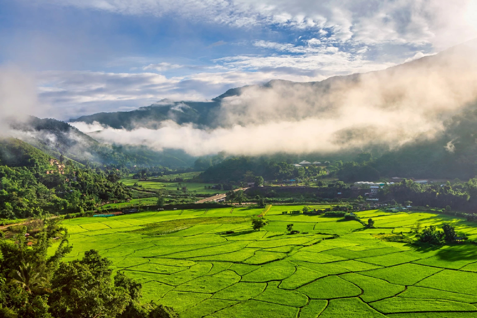 เปิดสถิติ นักท่องเที่ยวต่างชาติ เดือน ม.ค. 2569 เดินทางเข้าไทย 3.27 ล้านคน ติดลบ 11%