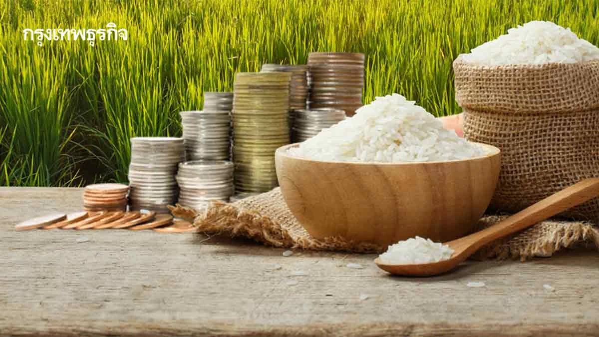 การค้าข้าวโลกปี 69 สูงสุดเป็นประวัติการณ์  ไทยเจอปมบาทแข็ง-ราคาพุ่งทำขีดแข่งขันหด