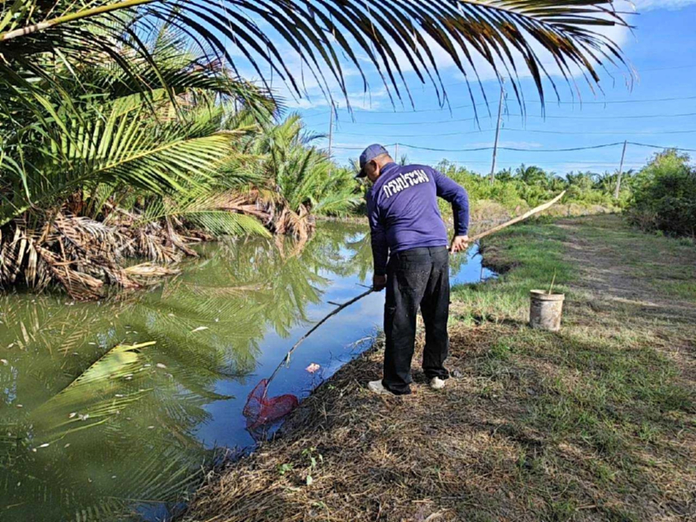 โมเดลชาวหัวไทร ใช้เศรษฐกิจนำ คุมประชากรปลาต่างถิ่นเห็นผลจริง