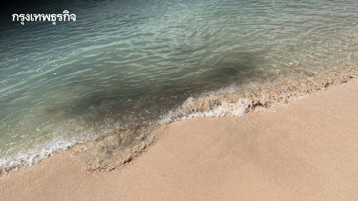 'สุชาติ' สั่งด่วน แก้ปัญหาน้ำเสียหาดโล๊ะปาเหรด จ.พังงา หวั่นกระทบท่องเที่ยว-ปชช.