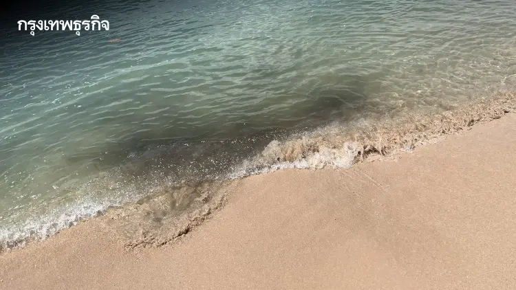 'สุชาติ' สั่งด่วน แก้ปัญหาน้ำเสียหาดโล๊ะปาเหรด จ.พังงา หวั่นกระทบท่องเที่ยว-ปชช.