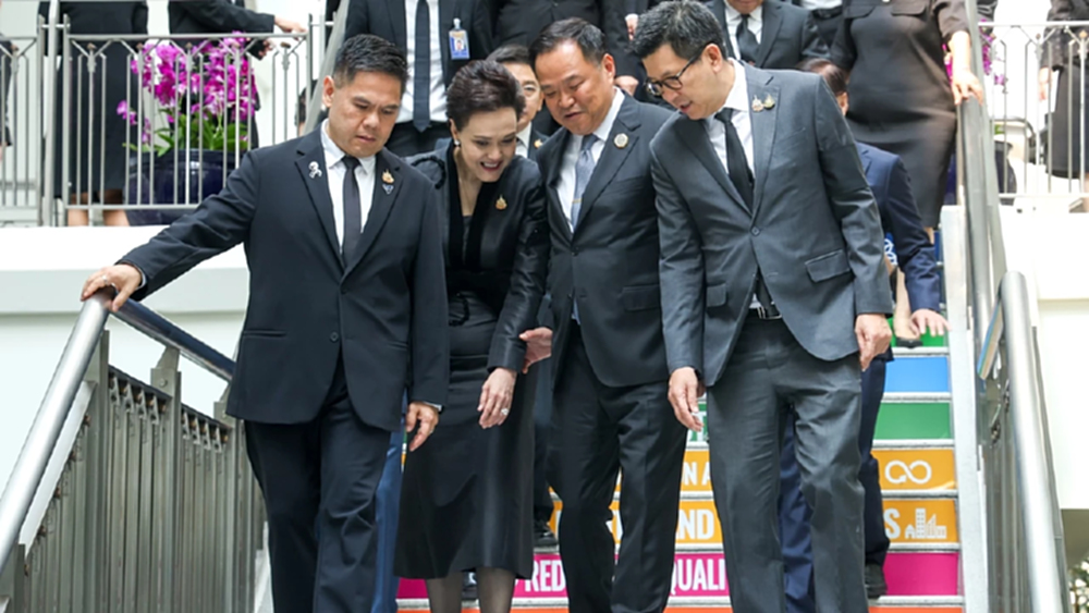 มืออาชีพผสมบ้านใหญ่ สมดุลการเมือง 'อนุทิน2'