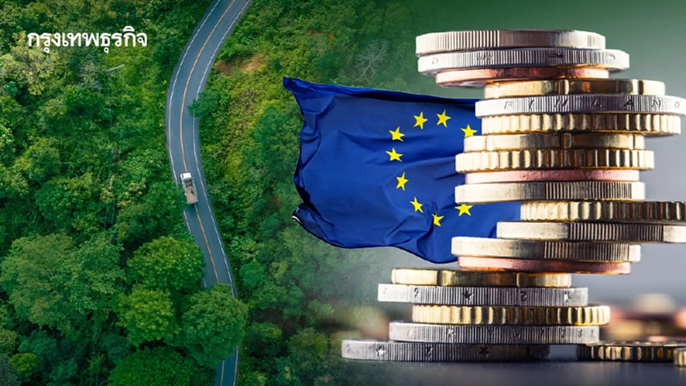 พลิกโฉมการเงินเขียวโลก พร้อมส่องทางรอด 'ป่าไม้ไทย' ในยุคกฎหมาย EU คุมเข้ม