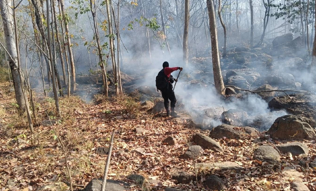 จุดความร้อนไทยพุ่ง 418 จุด ป่าสงวนฯ-พื้นที่เกษตรแชมป์เผาสูงสุด