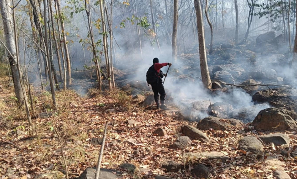จุดความร้อนไทยพุ่ง 418 จุด ป่าสงวนฯ-พื้นที่เกษตรแชมป์เผาสูงสุด