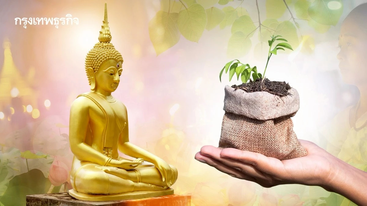 แจกต้นไม้ฟรี ที่ทำบุญวันมาฆบูชา 2569 เวียนเทียนต้นไม้ ลดโลกร้อน
