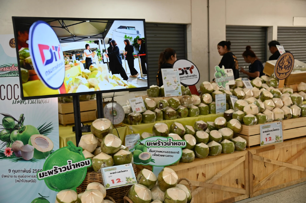 กรมการค้าภายในเร่งดูดซับมะพร้าวน้ำหอม กลาง-ใต้   กระจายทั่วประเทศ รักษาเสถียรภาพราคา