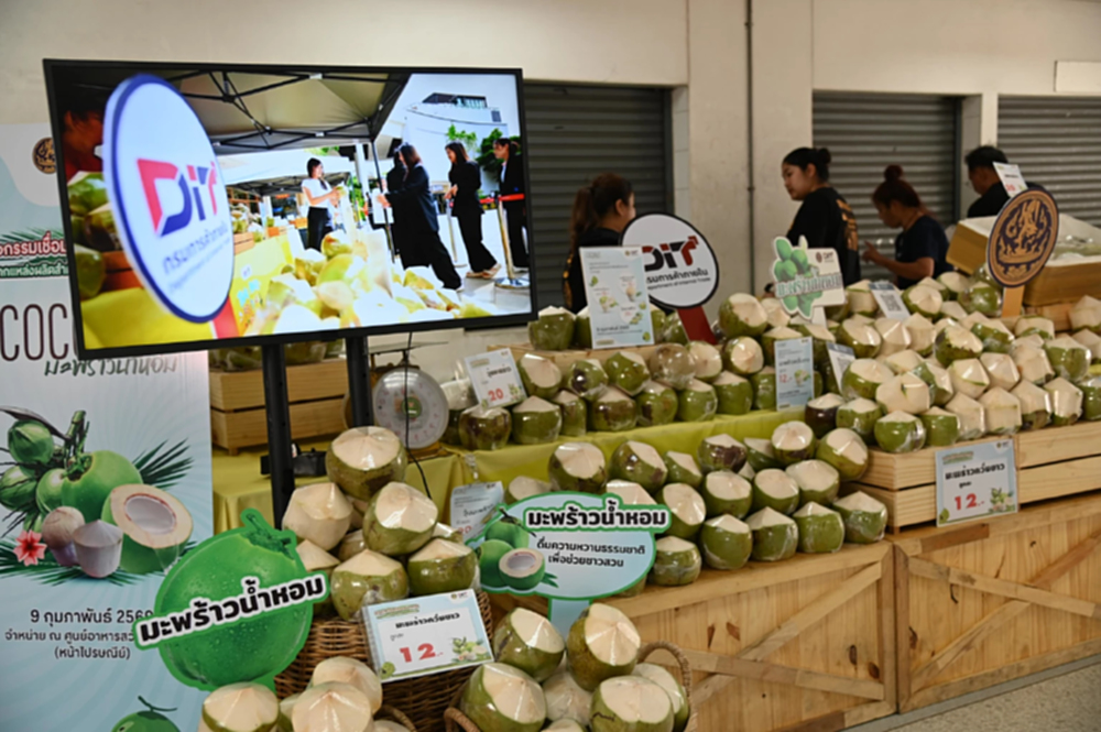 กรมการค้าภายในเร่งดูดซับมะพร้าวน้ำหอม กลาง-ใต้   กระจายทั่วประเทศ รักษาเสถียรภาพราคา
