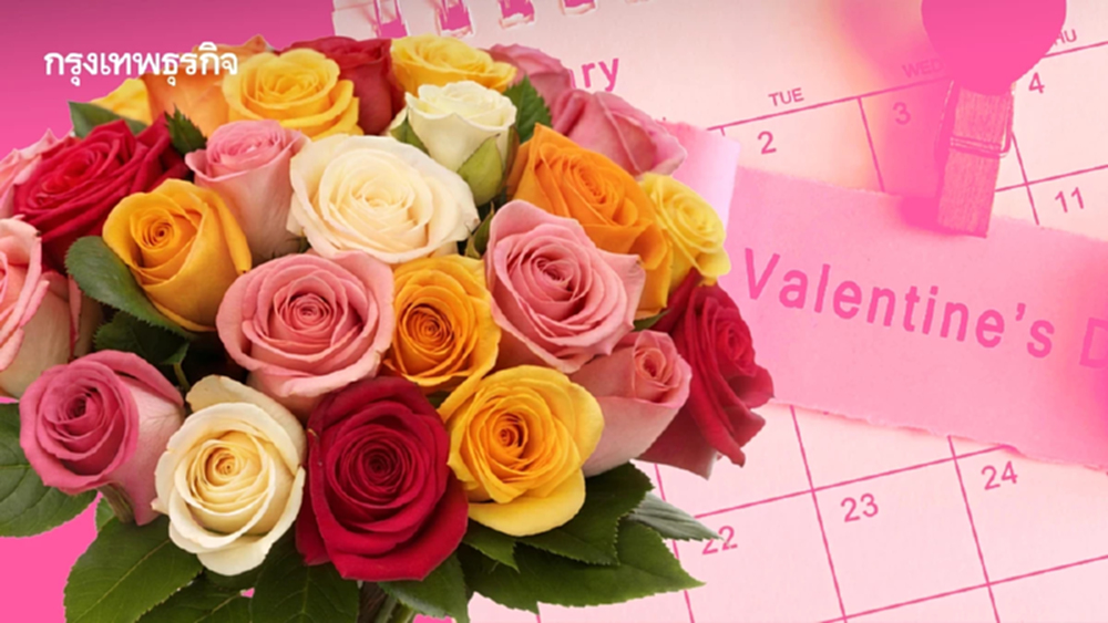 ความหมาย ดอกกุหลาบ แต่ละสีสื่ออะไร ทำไมต้องมอบช่อดอกไม้ วาเลนไทน์