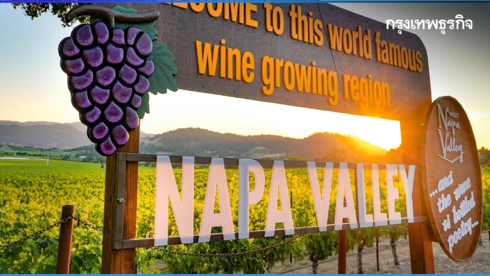นาปา แวลลีย์ : หัวกะทิของไวน์แคลิฟอร์เนีย