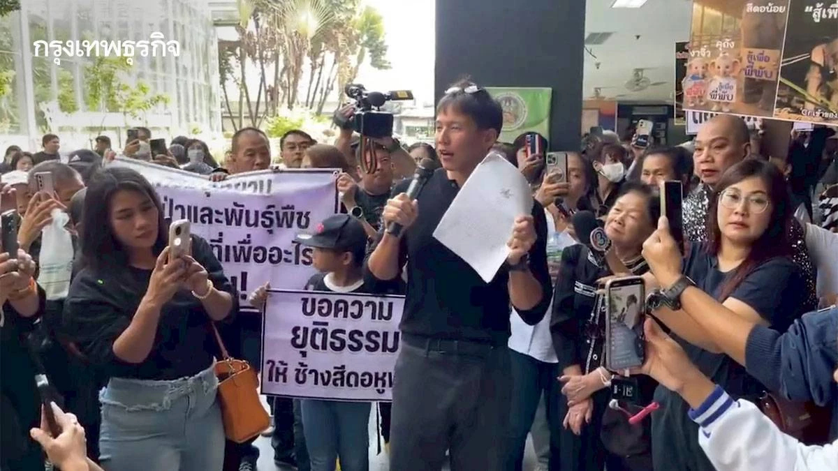 ทราย สก๊อต ร่วมทัพเรียกร้องความยุติธรรม ปมช้างสีดอหูพับล้ม เขย่ากรมอุทยาน