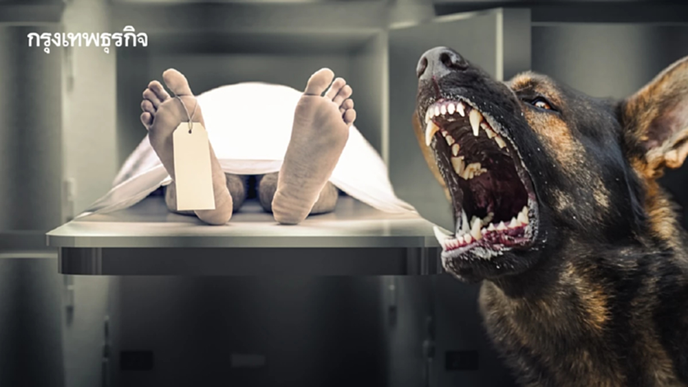 ไทยพบผู้เสียชีวิต โรคพิษสุนัขบ้าคนแรก ไม่อยากตาย ต้องฉีดวัคซีน