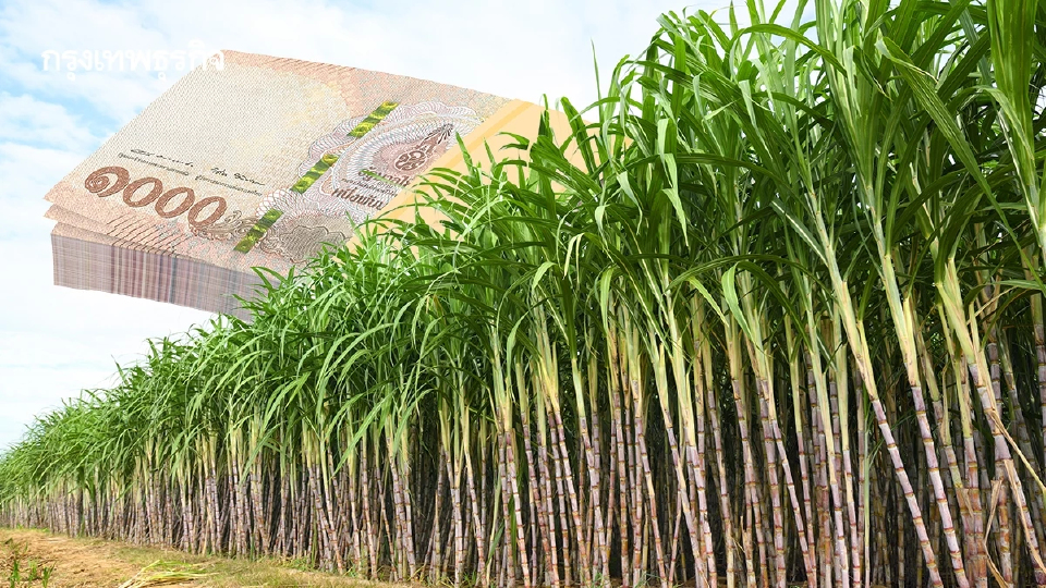 'สอน.' จ่อชงงบกลางเยียวยา 'ชาวไร่อ้อย' พื้นที่สีแดง ชายแดน 5 พันไร่