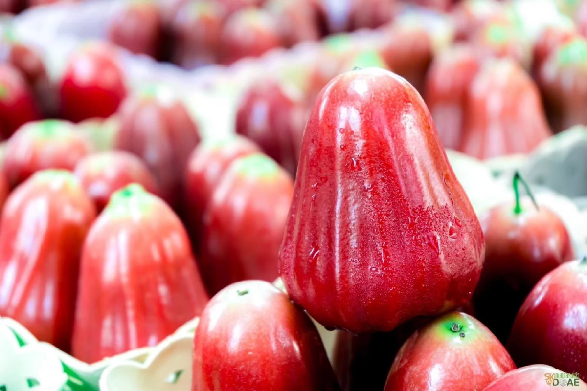 พาณิชย์ ประกาศขึ้นทะเบียน “ชมพู่คลองหาด” จ.สระแก้ว เป็นสินค้า GI