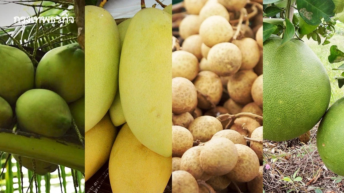 กรมวิชาการเกษตร บุกเกาหลีใต้ ถกอุปสรรคทางการค้า ขยายตลาดผลไม้เมืองร้อน