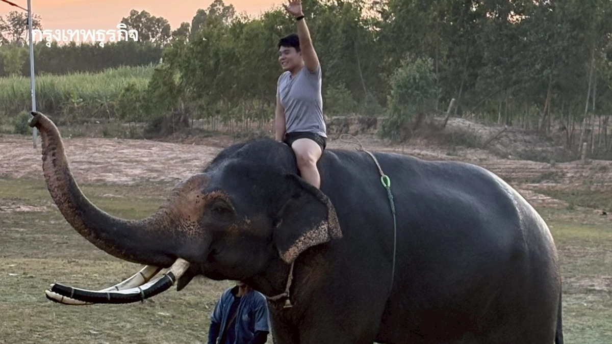 ลมหายใจแห่งวิถีคนกับช้าง @SIAM FOSSIL ณ อุทยานเรียนรู้เพ ลา เพลิน บุรีรัมย์
