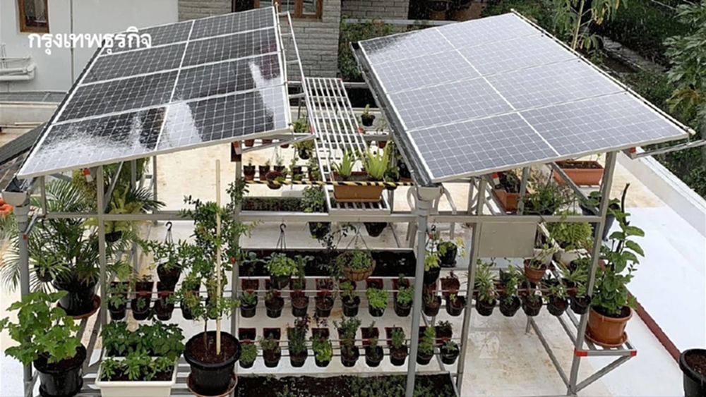 ‘Rooftop Agrivoltaics’ ทำสวน-ติดโซลาร์เซลล์บนดาดฟ้า ได้ทั้งพลังงานสะอาด-อาหารพร้อทกัน