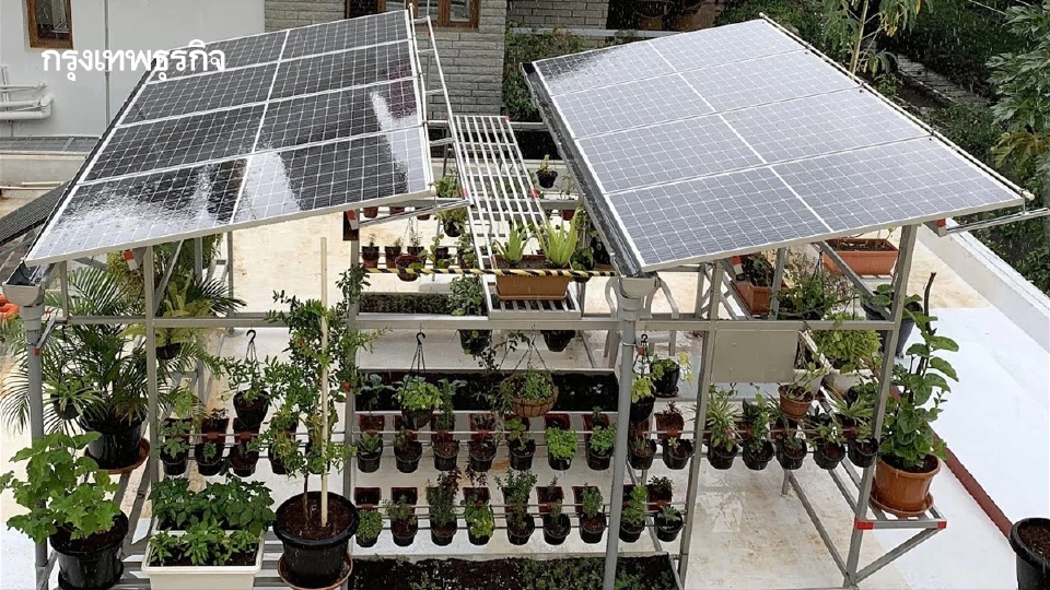 ‘Rooftop Agrivoltaics’ ทำสวน-ติดโซลาร์เซลล์บนดาดฟ้า ได้ทั้งพลังงานสะอาด-อาหารพร้อทกัน