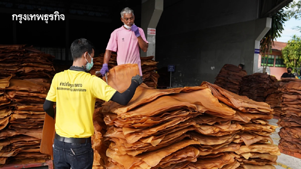 กระทรวงเกษตรฯ-IRCo ยกระดับยางไทยสู่สากล สู้คู่แข่งใหม่โกตดิวัวร์