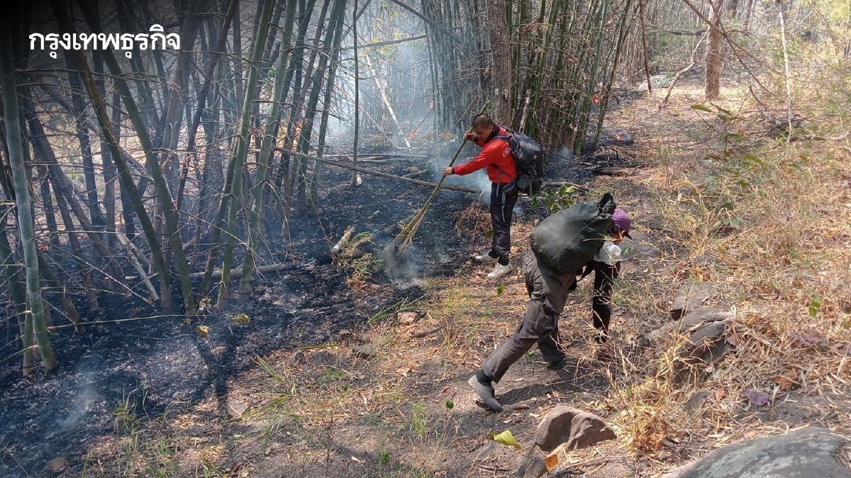 .ระดมกำลังดับไฟป่าภูเขียว 3 วัน ล่าสุดคุมได้แล้ว​ เสียหาย 190 ไร่ ย้ำงดเผาทุกกรณี.