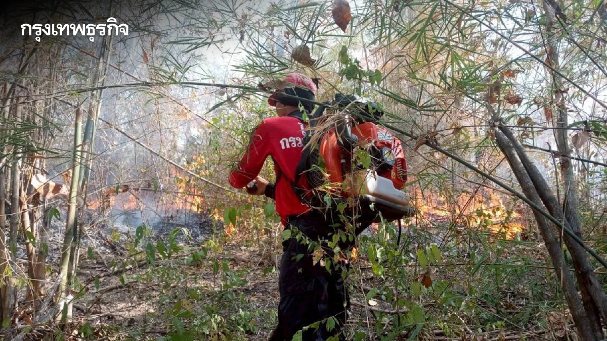 กรมอุทยานฯ ยกระดับคุมเข้ม "ไฟป่า" ตั้งวอร์รูมเฝ้าระวัง-สกัดไฟ 24 ชั่วโมง