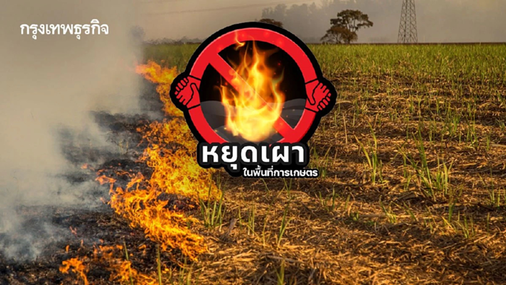 เริ่มแล้ว! ห้ามเผาพื้นที่เกษตร 1 ก.พ.-31 มี.ค. 69 ลดฝุ่นทั่วไทย