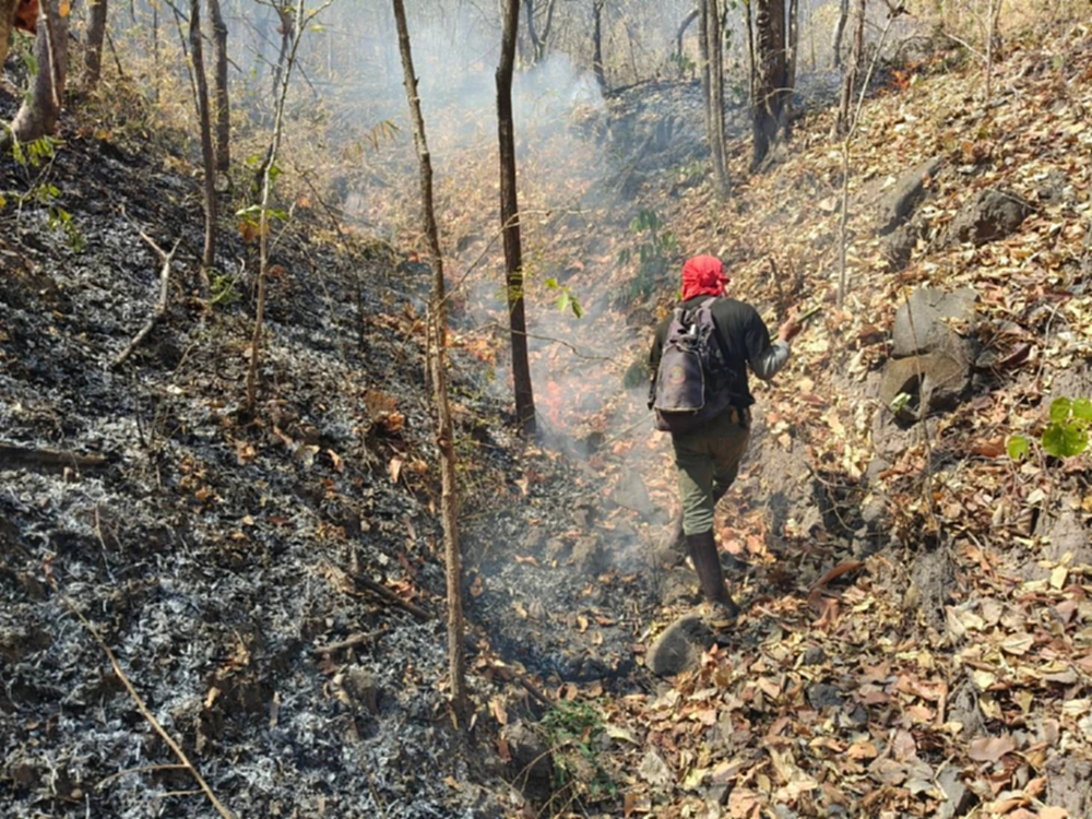 อช.เขาค้อ พบจุด Hotspot เร่งทำแนวกันไฟ คุมพื้นที่เสียหายกว่า 20 ไร่