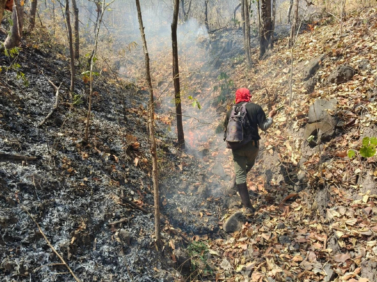 อช.เขาค้อ พบจุด Hotspot เร่งทำแนวกันไฟ คุมพื้นที่เสียหายกว่า 20 ไร่