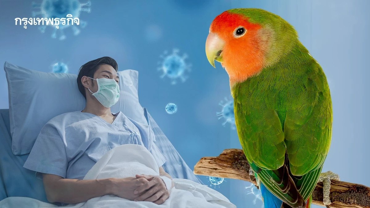 ยันไทยพบผู้ป่วย โรคไข้นกแก้ว รับเชื้อจากการเลี้ยงนก ที่อับอากาศ