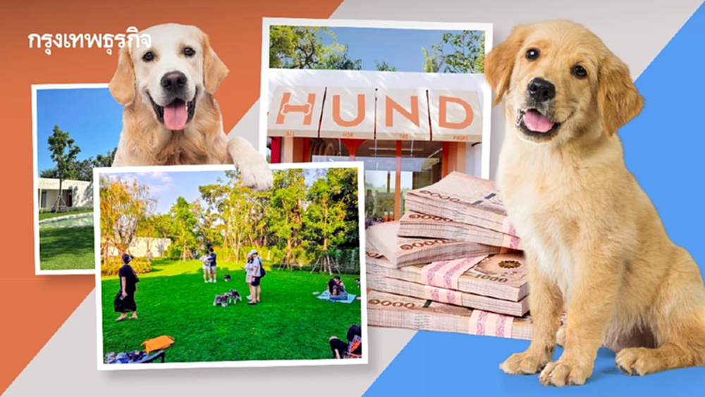 'ฮุนด์เฮ้าส์' คลับไฮโซของน้องหมาเปิดใหม่ ค่าสมาชิกปีละแสนสอง!