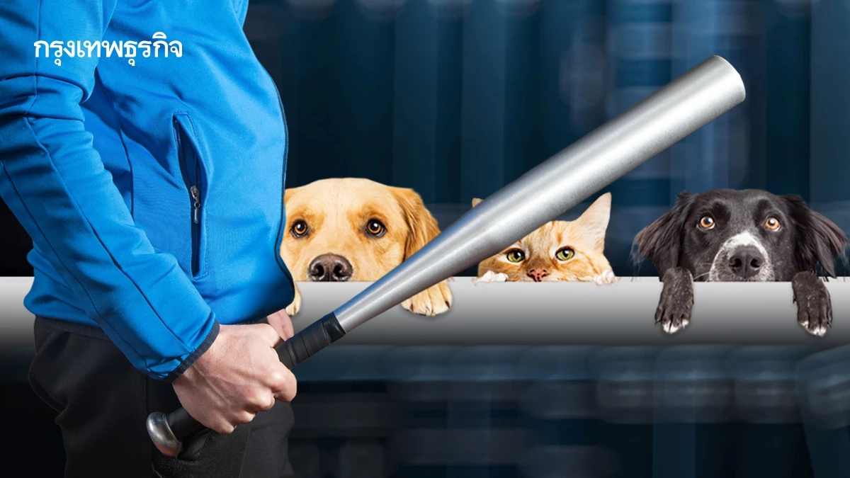 ระวังได้นอนคุก ทำร้ายสัตว์เลี้ยงตัวเอง คนอื่น โทษหนัก ปรับ 4 หมื่น