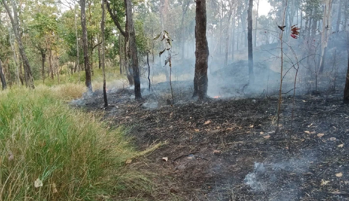 'เสือไฟ' ผนึก 'เหยี่ยวไฟ" ลุยไฟป่าชัยภูมิ 5 จุดรวด! ปกป้องป่าอนุรักษ์
