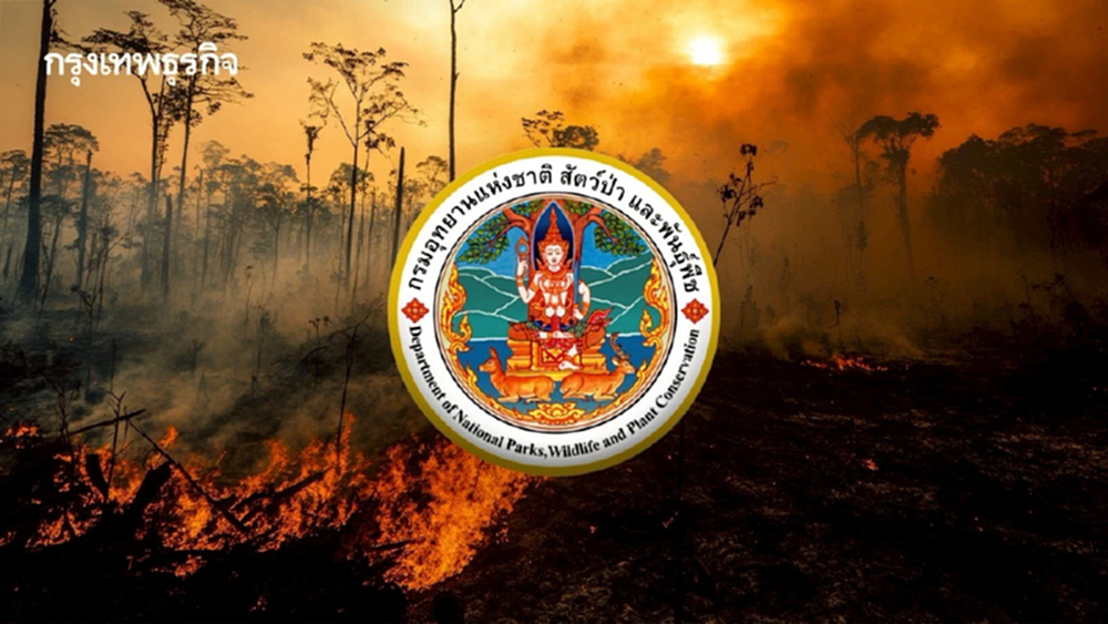 กรมอุทยานฯ สั่งเข้ม 14 กลุ่มป่าเหนือ-ตะวันตก เฝ้าระวังไฟป่า 2 พันจุด