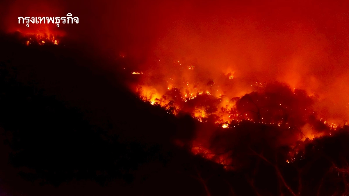 ไฟป่าชายแดนปะทุ! พบ 3 จุดเสี่ยงใกล้ศรีสะเกษ-สุรินทร์ เฝ้าระวังเข้ม