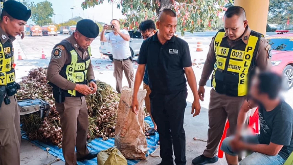 ซุกใต้กองกระเทียม 'ยาไอซ์' บิ๊กล็อต 200 ล้านบ. เจอด่านชัยนาท