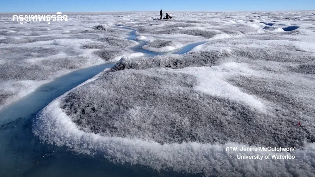 ฝุ่นแร่-สาหร่าย ทำ ‘กรีนแลนด์’ เป็นสีดำ ตัวการเร่งน้ำแข็งละลายเร็วกว่าเดิม