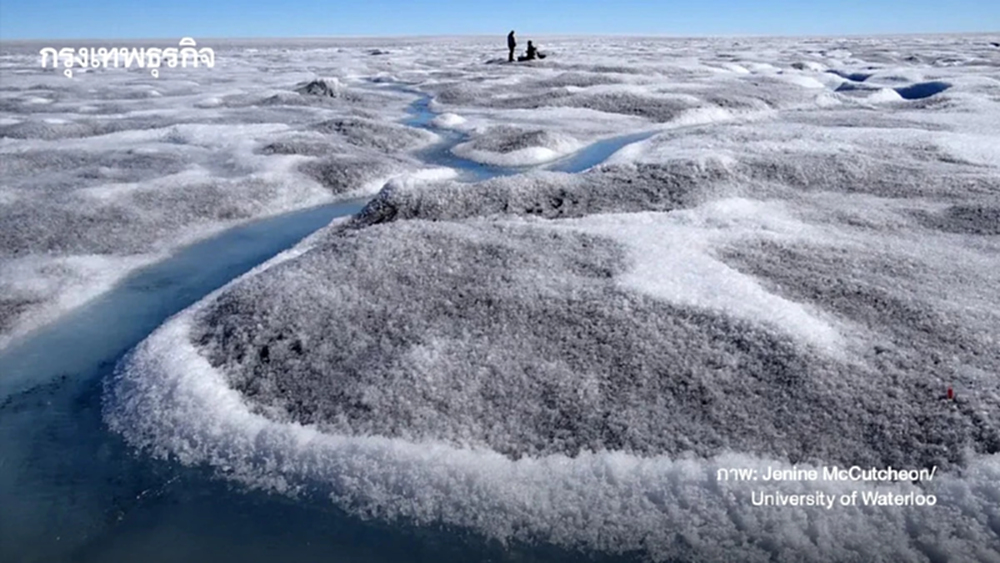 ฝุ่นแร่-สาหร่าย ทำ ‘กรีนแลนด์’ เป็นสีดำ ตัวการเร่งน้ำแข็งละลายเร็วกว่าเดิม