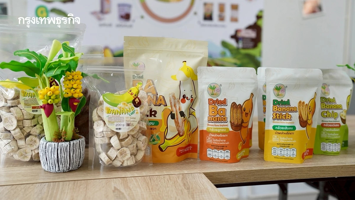 โมเดลปันกัน 'กล้วยสมุทรสงคราม' สร้างงาน สร้างรายได้ชุมชนยั่งยืน